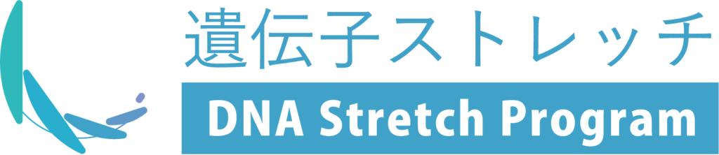 遺伝子ストレッチ